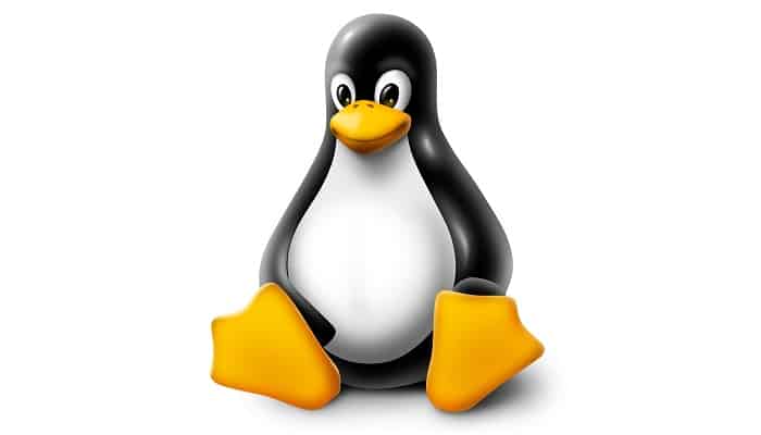 Cómo Encontrar Ficheros Y Directorios En Linux